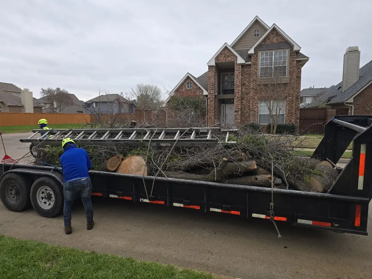 Expert Lot Clearing with proper safety equipment in Lee